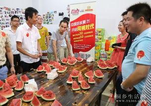 桐乡吃瓜直播,带你领略当地美食风情  第1张